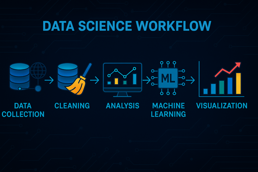 Infographic showing the data science workflow: Data Collection → Cleaning → Analysis → Machine Learning → Visualization, with icons representing each stage.